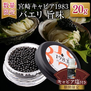 yӂ邳Ɣ[Łzʌ {LrA1983 oG | 20g Ԍ LrAt   LrA Y Hi Hi  ґ O咿 _C ܂ J LO j p