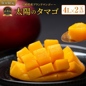 �y�ӂ邳�Ɣ[�Łz���n�}���S�[ ���z�̃^�}�S �ԏG�i 4L × 2�� ���Ԍ��� ���ʌ��� �}���S�[ �{�� �t���[�c �ʕ� �������� ���Y �H�i ��s�\�� 2026 �ߘa8�N���� �Z�� �f�U�[�g ����� �������� 