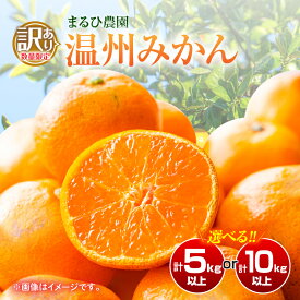 【ふるさと納税】≪内容量が選べる≫訳あり 温州 みかん 傷み補償分付き まるひ農園 期間限定 数量限定 フルーツ 果物 くだもの 柑橘 ミカン 国産 食品 デザート おやつ 人気 スイーツ おすすめ ご家庭用 訳アリ ワケあり おすそ分け 新鮮 産地直送 宮崎県 日南市 送料無料