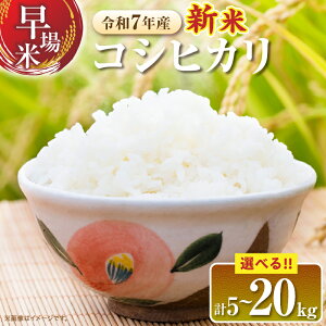yӂ邳Ɣ[Łz2TԈȓɔ eʂIׂ  ߘa7NY V RVqJ  Ԍ sY   CX Y lC Hi   5kg 10kg 20kg  ɂ 