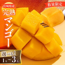 【ふるさと納税】レビューキャンペーン ≪内容量が選べる≫ 数量限定 宮崎県産 完熟マンゴー 1玉 ～ 3玉 期間限定 フルーツ スイーツ 果物 くだもの 食品 デザート 国産 産地直送 人気 おすすめ おやつ 高級 ご褒美 贅沢 贈り物 ギフト プレゼント 宮崎県 日南市 送料無料