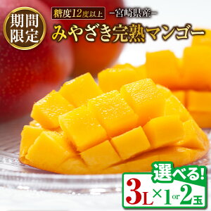 �y�ӂ邳�Ɣ[�Łz��ʐ����I�ׂ�� �݂₴�� ���n�}���S�[ 3L�T�C�Y ���Ԍ��� ���ʌ��� 1�� 2�� �}���S�[ �{�� �t���[�c �ʕ� �������� ���Y �H�i ��s�\�� 2026 �ߘa8�N���� �Z�� �f�U�[�g ��