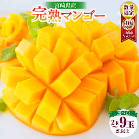 【ふるさと納税】リピーター続出!!≪玉数が選べる≫数量限定 宮崎県産 完熟 マンゴー 2L以上 2玉 4玉 9玉 フルーツ 果物 果汁 希少 濃厚 ジューシー 贅沢 ご褒美 お祝い 人気 国産 食品 おやつ デザート 産地直送 おすすめ 贈り物 贈答 ギフト プレゼント 日南市 送料無料