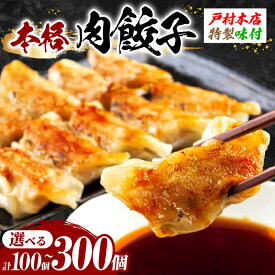【ふるさと納税】焼くだけ!!簡単調理 ≪選べる≫ 本格 肉 餃子 100 ～ 300個 小分け ぎょうざ ギョーザ 加工品 国産 惣菜 戸村本店 特製餃子 自家製餃子 人気 おすすめ おかず おつまみ お弁当 おすそ分け お土産 贈り物 ギフト 贈答 プレゼント 宮崎県 日南市 送料無料