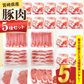【ふるさと納税】宮崎県産 豚肉 5種 セット (合計5kg) 国産 食品 ロース 豚バラ スライス 切り落とし ミンチ しゃぶしゃぶ 生姜焼き とんかつ ソテー 豚丼 ハンバーグ 餃子 個包装 小分け おすすめ おかず お弁当 晩ご飯 手軽 便利 ギフト 贈り物 冷凍 日南市 送料無料