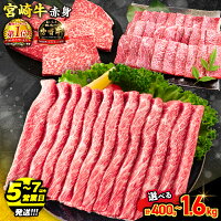 【ふるさと納税】【総合1位獲得】 5～7営業日以内発送【内容量・発送時期が...