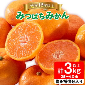【ふるさと納税】先行予約 みつばちみかん 計3kg以上 傷み補償分入り 果物 くだもの フルーツ 蜜柑 ミカン 柑橘 オレンジ おやつ デザート みかんジュース 飲み物 小ぶり おすすめ おすそ分け 国産 食品 産地直送 贈り物 お土産 宮崎県 日南市 送料無料