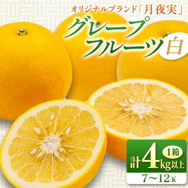 【ふるさと納税】★テレビで紹介された★ 先行予約 グレープフルーツ 月夜実 白 つくよみ 計4kg以上 希少 完熟 果物 くだもの 柑橘 オリジナル ブランド 国産 食品 おすすめ デザート スイーツ おやつ おすそ分け お取り寄せ グルメ 産地直送 宮崎県 日南市 送料無料