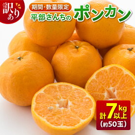 【ふるさと納税】訳あり 平部さんちのポンカン 計7kg以上 先行予約 期間限定 数量限定 フルーツ 果物 くだもの 柑橘 みかん 蜜柑 わけあり 国産 食品 おやつ デザート みかんジュース フルーツサンド おすすめ ご家庭用 おすそ分け 産地直送 宮崎県 日南市 送料無料