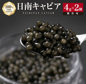 yӂ邳Ɣ[ŁzCAVIAR LrA v8g 4g × 2   L Y ܂ EO咿 O  ґ  ㎿ J  Hi Ⓚ yY  Mtg v[g