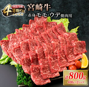 yӂ邳Ɣ[Łz{苍 Ԑg  Ef ē Zbg v800g  r[t јa Y uh Ԑg  ĂȂ BBQ o[xL[ OsO SĂ J j LO