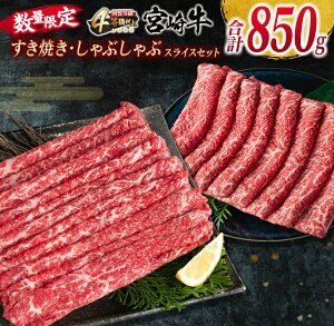 yӂ邳Ɣ[Łzʌ {苍 Ă Ԃ XCX Zbg v850g  r[t јa Y uh Ԑg Hi   ؂ Hה A4N 4ȏ 