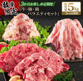 【ふるさと納税】数量限定 3か月 お楽しみ 定期便 牛肉 豚肉 鶏肉 バラエティ セット 総重量5kg 宮崎牛 黒毛和牛 国産 ブランド牛 食品 おかず お弁当 おつまみ 切り落とし 切身 焼肉 からあげ お取り寄せ グルメ 小分け 真空パック おすそ分け 宮崎県 日南市 送料無料