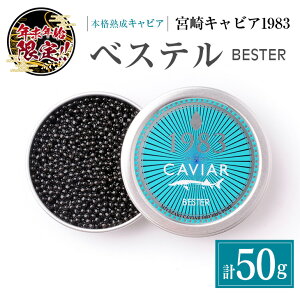 yӂ邳Ɣ[ŁzNNn {inLrAu{LrA1983 xXevv50g   L Y Hi Hi VN EO咿 _C  ґ CY   