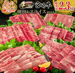yӂ邳Ɣ[Łz3 y  {苍 ē XCX Zbg d2.3kg  r[t јa Y uh ΂   [X Ă Ԃ BBQ A4Nȏ 4