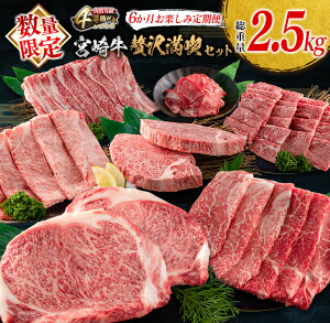 yӂ邳Ɣ[Łzʌ 6 y  {苍 ґ i Zbg d2.5kg јa uh  Y r[t lC Hi ē Xe[L XCX Ԑ؂ Ԃ 