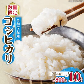 【ふるさと納税】≪内容量が選べる≫ 令和7年産 コシヒカリ お米 ご飯 ライス 国産 数量限定 期間限定 人気 食品 精米 白米 こしひかり 有洗米 おにぎり お弁当 炊き込みご飯 雑炊 ギフト プレゼント 贈り物 お取り寄せ 産地直送 宮崎県 日南市 送料無料
