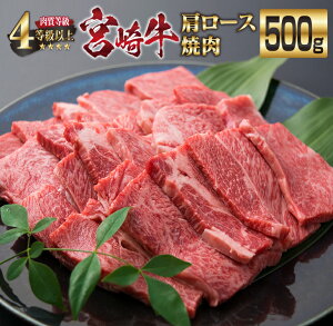 yӂ邳Ɣ[Łz{苍 [X ē v500g  r[t јa Y uh Hi   BBQ SĂ OsO fBi[ 4ȏ A4 A5N 5  ґ