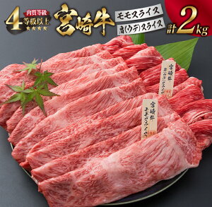 yӂ邳Ɣ[Łz{苍  Ef XCX Zbg v2kg  r[t јa 4ȏ Y Ă Ԃ ₫ ē Hi uh Ԑg Hה ґ 