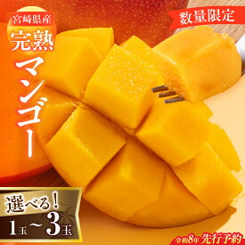 【ふるさと納税】≪内容量が選べる≫ 数量限定 宮崎県産 完熟マンゴー 1玉～3玉 期間限定 フルーツ スイーツ 果物 くだもの 2026年 令和8年発送分 食品 デザート 国産 産地直送 人気 おすすめ おやつ 高級 ご褒美 贅沢 贈り物 ギフト プレゼント 宮崎県 日南市 送料無料