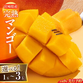 【ふるさと納税】先行予約 ≪内容量が選べる≫ 宮崎県産 完熟マンゴー 1玉～3玉 フルーツ スイーツ 果物 くだもの マンゴー 宮崎 2027年 令和9年発送分 国産 食品 デザート 産地直送 おすすめ おやつ ご褒美 贈り物 ギフト プレゼント 甘い 冷蔵 宮崎県 日南市 送料無料