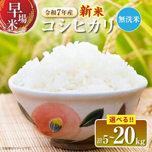 yӂ邳Ɣ[Łz2TԈȓɔ eʂIׂ  ߘa7NY V RVqJ  Ԍ {茧Y   CX Y lC Hi   5kg 10kg 20kg  ɂ 