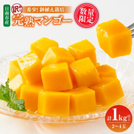 【ふるさと納税】訳あり 数量限定 希少 完熟 マンゴー 鉢植え栽培 計1kg以上 期間限定 くだもの 果物 フルーツ 不揃い 糖度13度以上 日南市産 国産 ご家庭用 食品 デザート おやつ 人気 おすすめ ご褒美 おすそ分け 産地直送 トロピカルフルーツ 冷蔵 宮崎県 送料無料