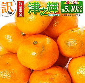 【ふるさと納税】≪内容量が選べる≫ 先行予約 訳あり 津之輝 つのかがやき 希少 期間限定 数量限定 フルーツ 果物 くだもの 柑橘 みかん 令和8年発送 国産 食品 おすすめ デザート おやつ みかんジュース フルーツサンド ご家庭用 おすそ分け 宮崎県 日南市 送料無料