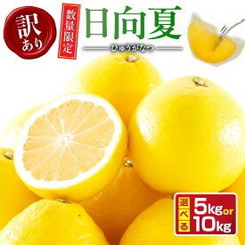 【ふるさと納税】≪内容量が選べる≫ 先行予約 訳あり 日向夏 期間限定 数量限定 果物 フルーツ くだもの 柑橘 みかん 令和8年発送 ジュース フルーツサンド おやつ デザート 国産 食品 おすすめ 5kg 10kg バラ詰め おすそ分け ご家庭用 手土産 宮崎県 日南市 送料無料