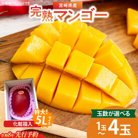 【ふるさと納税】≪玉数が選べる≫特大5Lサイズ 宮崎県産 完熟マンゴー 化粧箱入り 令和8年発送分 期間限定 数量限定 2026年 フルーツ 果物 くだもの 国産 食品 デザート おすすめ ご褒美 産地直送 特大 希少 お祝 お土産 プレゼント ギフト 贈り物 宮崎県 日南市 送料無料