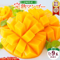 【ふるさと納税】リピーター続出!!≪玉数が選べる≫宮崎県産 完熟 マンゴー...