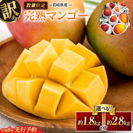 【ふるさと納税】≪内容量が選べる≫ 訳あり 宮崎県産 完熟マンゴー 令和8年発送分 期間限定 数量限定 2026年 フルーツ 果物 くだもの 国産 食品 デザート おやつ フルーツサンド おすすめ ご褒美 産地直送 傷 規格外 訳アリ おすそ分け 家庭用 冷蔵 宮崎県 日南市 送料無料