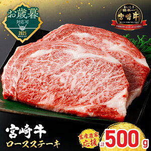 yӂ邳Ɣ[ŁzΕΉ {Y_Ɖ Iׂ {苍 [XXe[L (250g×2) 500g   јa [X Xe[L T[C u[X Y ē BBQ o[xL[ lC 
