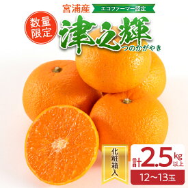 【ふるさと納税】津之輝 計2.5kg以上 化粧箱入り 先行予約 令和8年発送 期間限定 数量限定 国産 食品 果物 くだもの フルーツ 柑橘 みかん 蜜柑 M L 混合 デザート おやつ ジュース おすすめ プレゼント ギフト 贈答 贈り物 つのかがやき 濃厚 常温 宮崎県 日南市 送料無料
