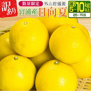 yӂ邳Ɣ[ŁzeʂIׂs\ 󂠂 {YY  Ԍ ʌ t[c ʕ  k ݂ ߘa8N Y Yn VN Hi W[X fU[g t[