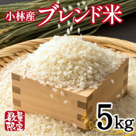 【ふるさと納税】【生活応援米】湧水で育った小林市産ブレンド米 5kg（5kg×1袋 お米 米 ブレンド米 白米 精米 家庭用）