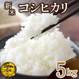 【ふるさと納税】【令和7年産】湧水で育った小林産コシヒカリ 5kg（5kg×1袋 お米 米 こしひかり コシヒカリ 白米 精米 限定）