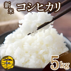 yӂ邳Ɣ[Łzyߘa7NYzNňюYRVqJ 5kgi5kg×1   Ђ RVqJ   j