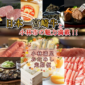 【ふるさと納税】【定期便・全11回】日本一宮崎牛と小林市の魅力満載！！小林満足おためし定期便　20万円コース（国産 牛肉 国産牛 和牛 黒毛和牛 フルーツ お菓子 豚肉 鶏肉 キャビア 定期便）