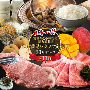 yӂ邳Ɣ[ŁzyցES11z{{苍Əюs̖͖!!! іNN 30~R[XiY  Y јa }S[ َq ؓ { LrA ցj