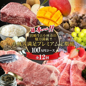 yӂ邳Ɣ[ŁzyցES12z{{苍Əюs̖͖!!!!!ё喞v~A 100~R[XiY  Y a јa VC}XJbg }S[ n}