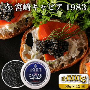 yӂ邳Ɣ[ŁzցES12񁄁yېt@[XgNX̗pz{LrA1983 50g×12iY LrA  {茧 { юs ցj
