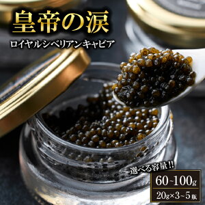 yӂ邳Ɣ[ŁzyIׂeʁzyYLrAzCVxALrA 60g~100g c̗ Y `EU  {茧