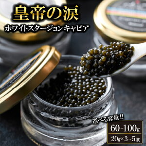 yӂ邳Ɣ[ŁzyIׂeʁzyYLrAzzCgX^[WLrA 60g~100g c̗ Y `EU  {茧 юs