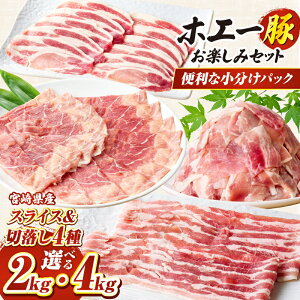 yӂ邳Ɣ[ŁzyIׂeʁzzG[ XCX ؗ v2kg ؓ  ؃o ؃[X Ԃ ؂   XCX ؂藎Ƃ ؃[X ȒP  Ă  lC