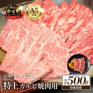 yӂ邳Ɣ[ŁzyzA5юsY{苍Jrēp500giY  Y a јa {苍 Jr Jr ēj