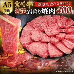 yӂ邳Ɣ[ŁzyA5z{苍I~ē i400g×1Pj {苍 uh a  ē Ia ~ A5 {茧 юs