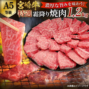 yӂ邳Ɣ[ŁzyA5z{苍I~ē 1.2kgi400g×3Pj {苍 uh a  ē Ia ~ A5 {茧 юs