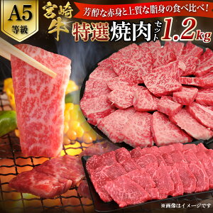 yӂ邳Ɣ[ŁzyA5z{苍 IēZbg v1.2kgiԐgE~j {苍 uh a  ē Ia ~ A5 {茧 юs