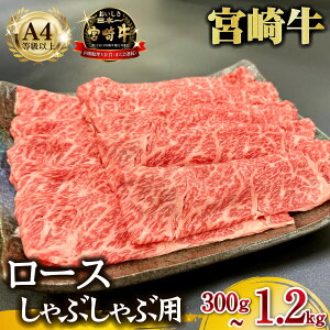 yӂ邳Ɣ[Łz{茧mqEA4ȏ{苍~肵Ԃԃ[X 300g~1.2kg  јa [X Ԑg Ԃԗp A4 A5 tb4A